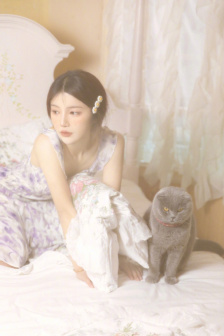 竹夫人电影完整免费观看高清全集下载